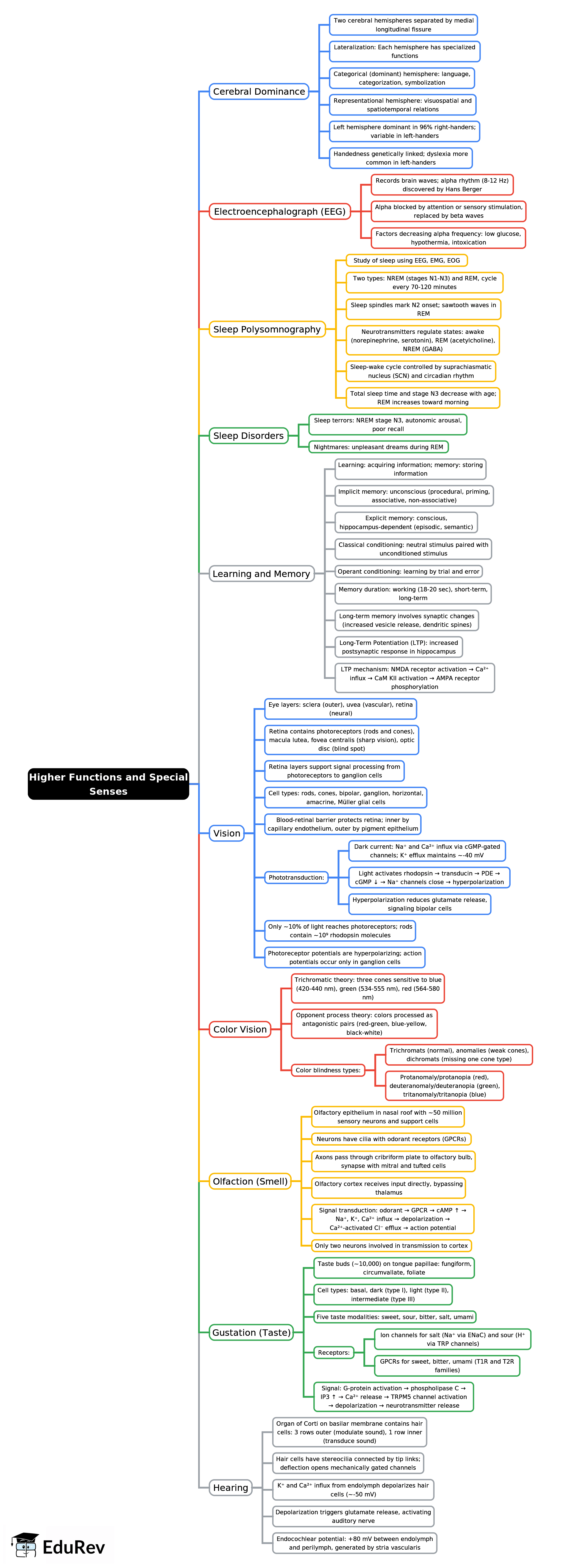 Higher Functions and Special Senses Mind Map - NEET PG Physiology PDF ...