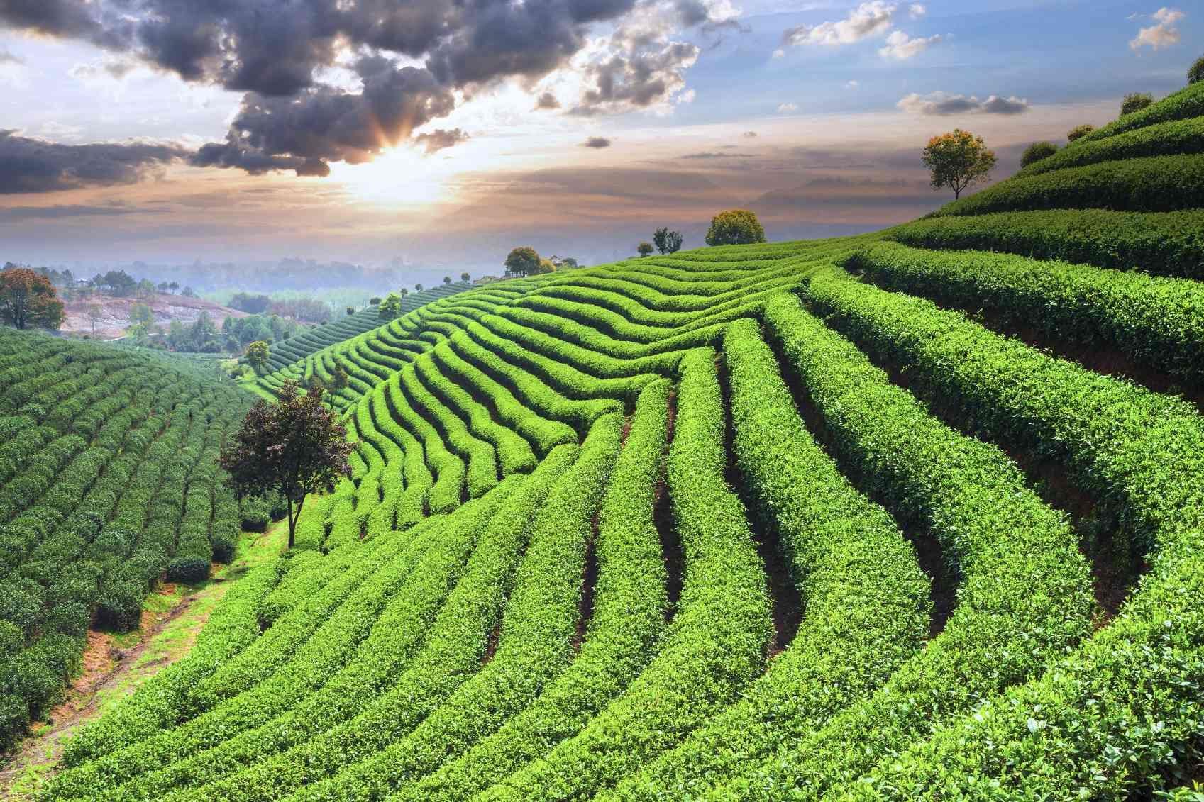 Class 6 Civics Chapter 7 Question Answers - Rural Livelihoods
