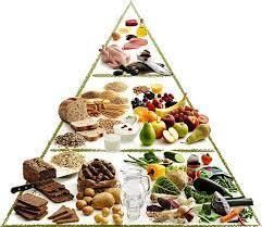 Worksheet Solutions: The Story of Food - 2 | EVS for Class 3
