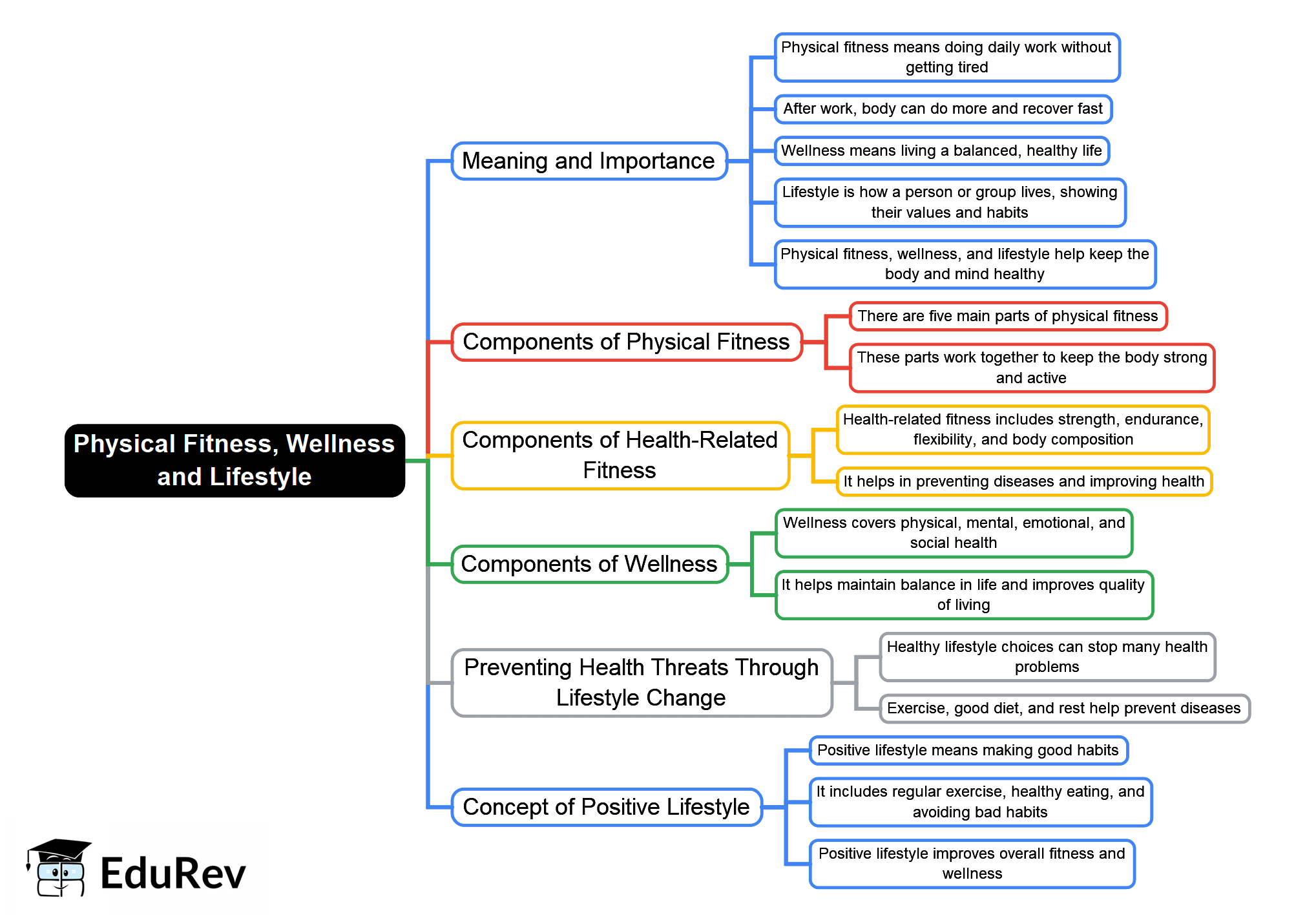 Mind Map: Revision Notes, Physical Fitness, Wellness and Lifestyle, Physical Education