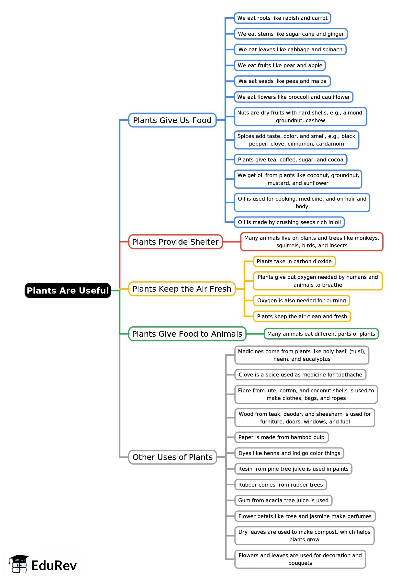 Mind Map: Plants Are Useful | Environmental Studies Class 2 ICSE