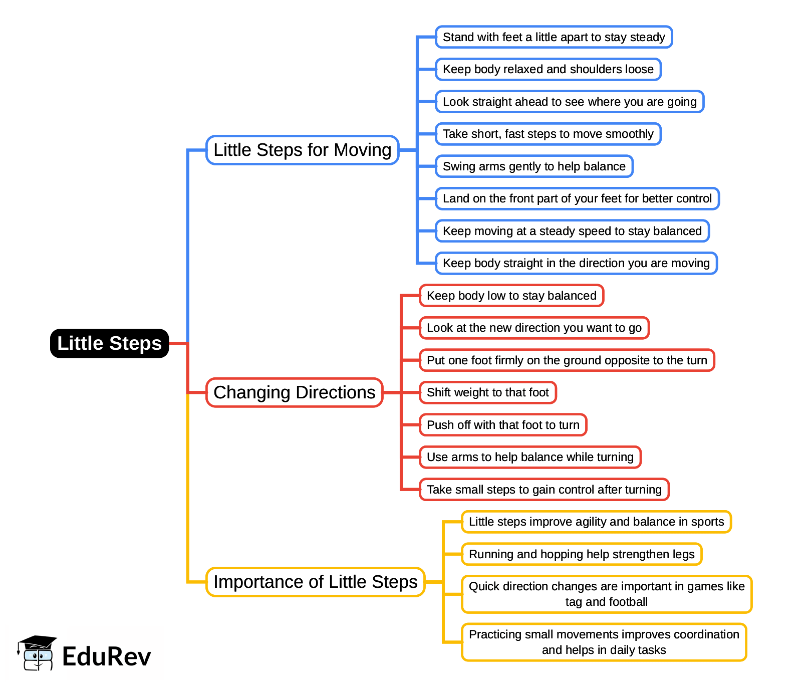 Mind Map: Little Steps | Physical Education and Well Being (Khel Yoga) Class 5