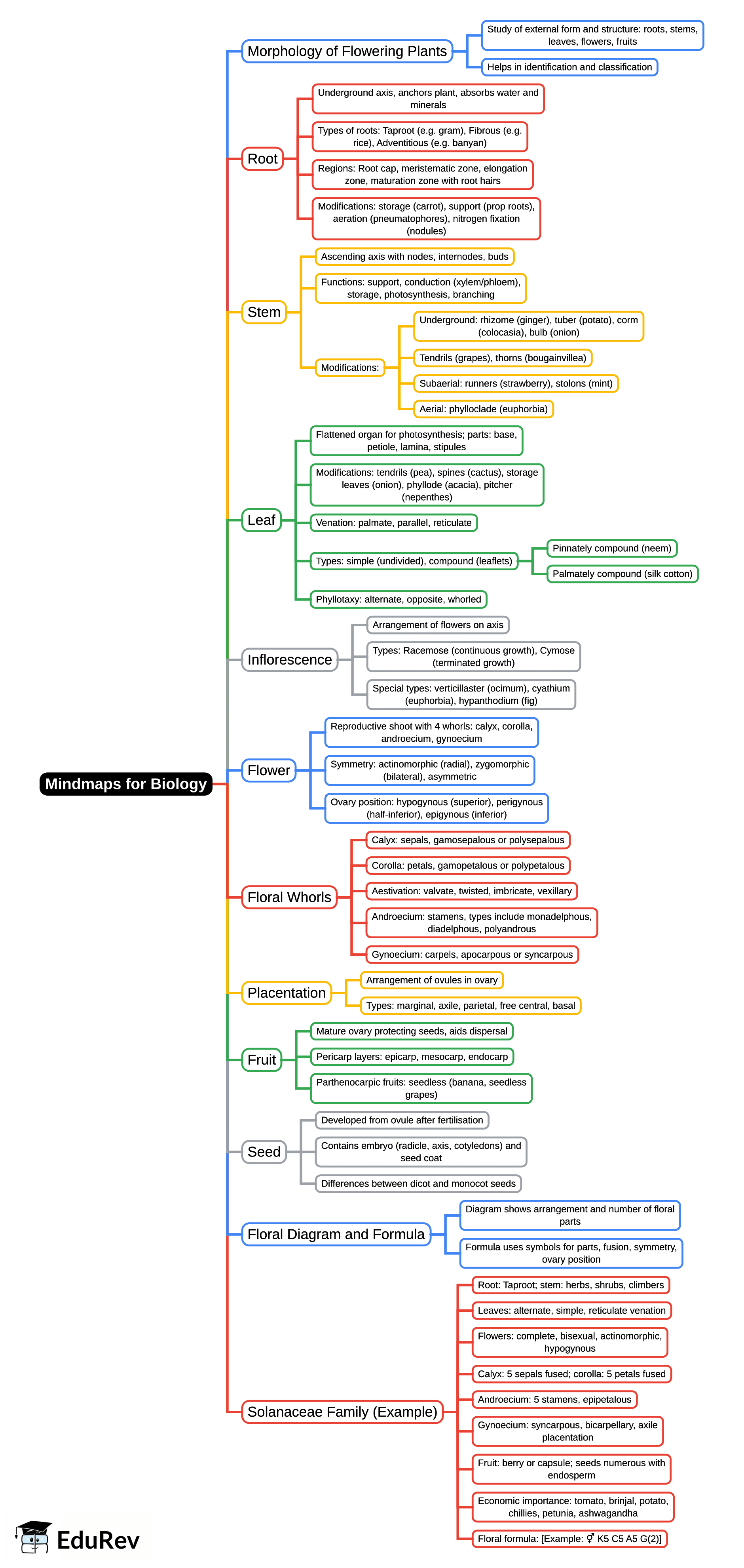 Mind Map:  Mindmaps for Biology