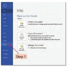Word 2016 Chapter Notes | Computer Studies Class 3 ICSE