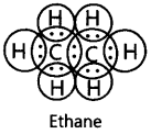 Carbon and its Compounds Important Questions Class 10 Science