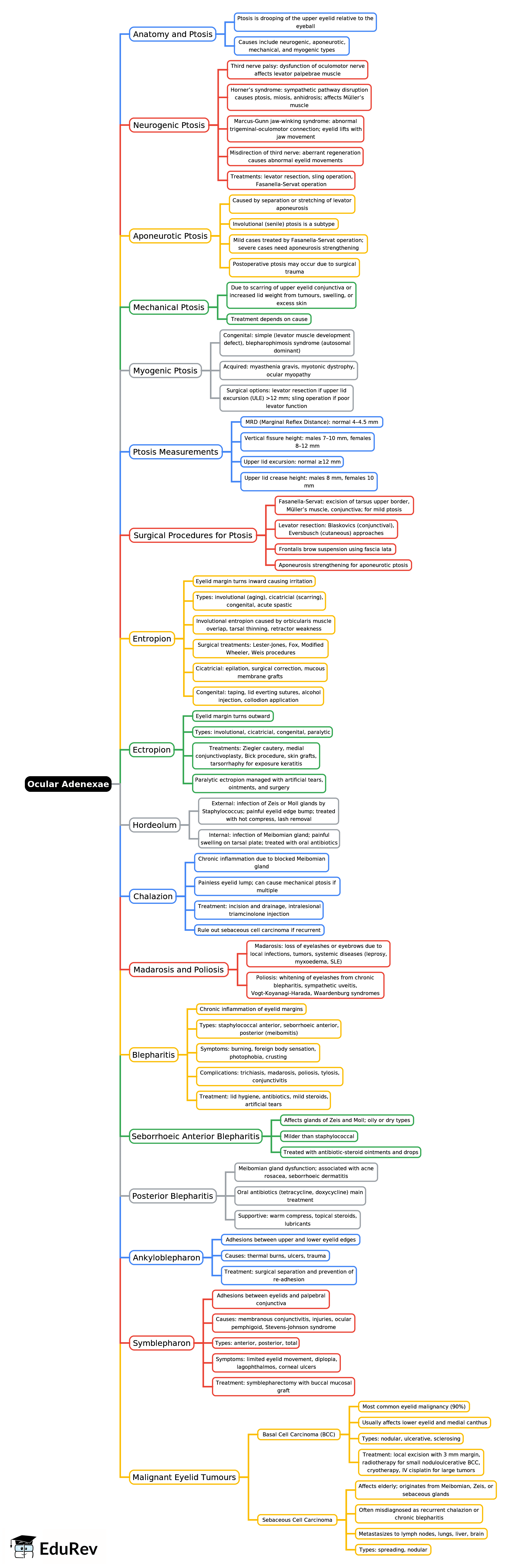 Mind Map: Ocular Adenexae