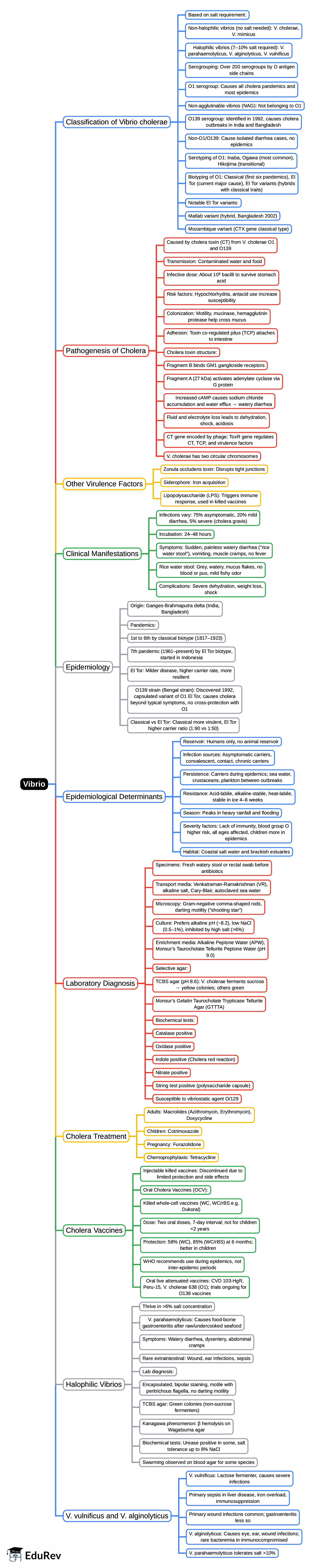 Mind Map: Vibrio | Microbiology - NEET PG