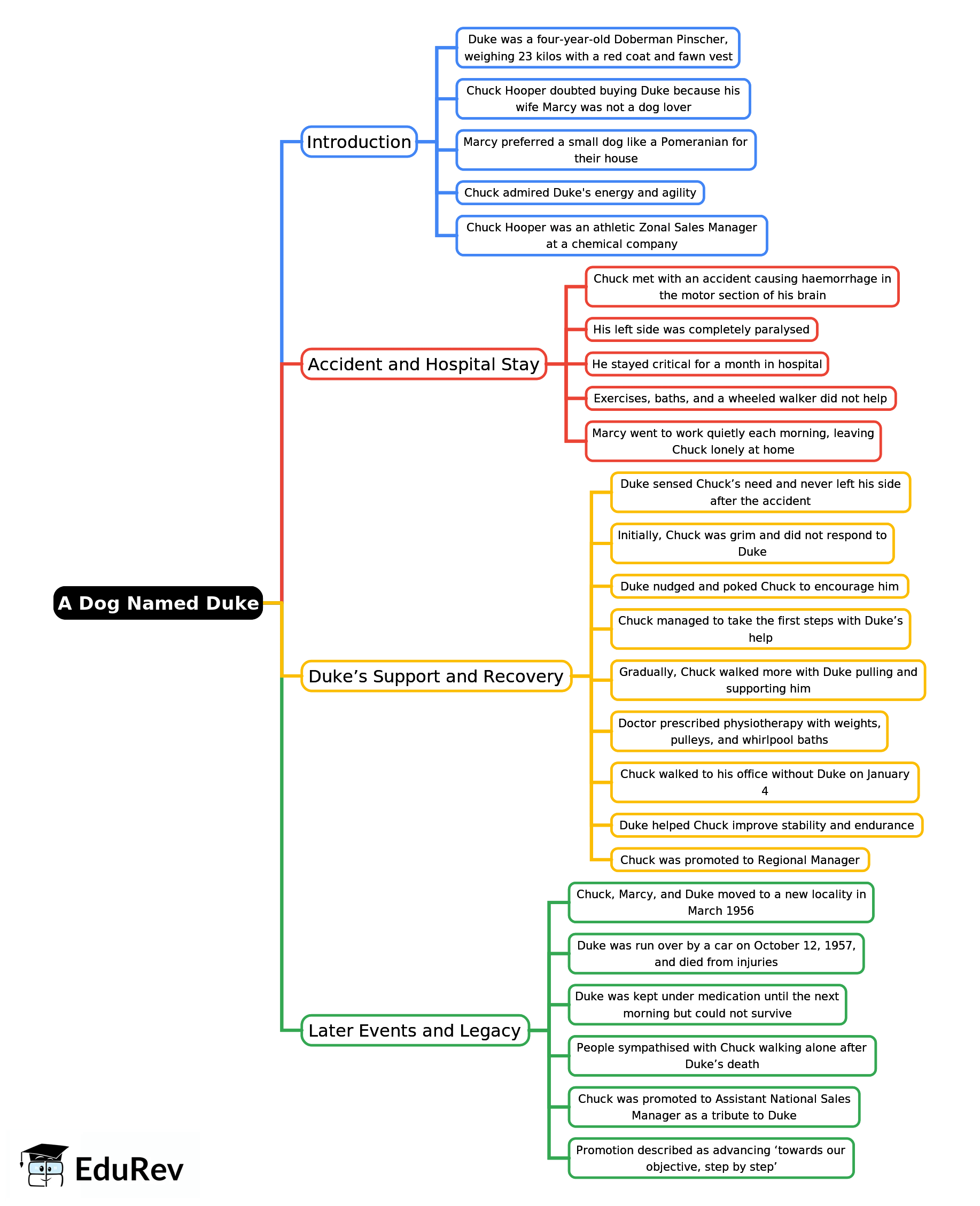 Mind Map: A Dog Named Duke | English Class 9