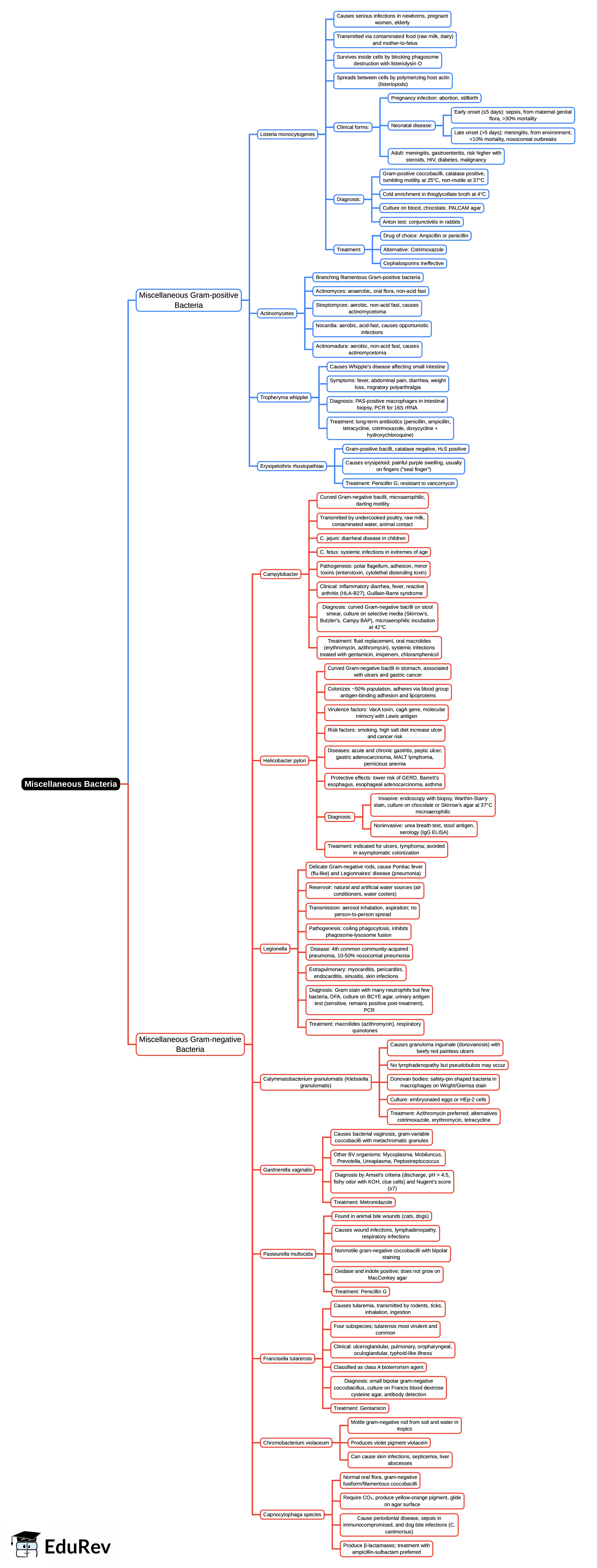 Mind Map: Miscellaneous Bacteria | Microbiology - NEET PG