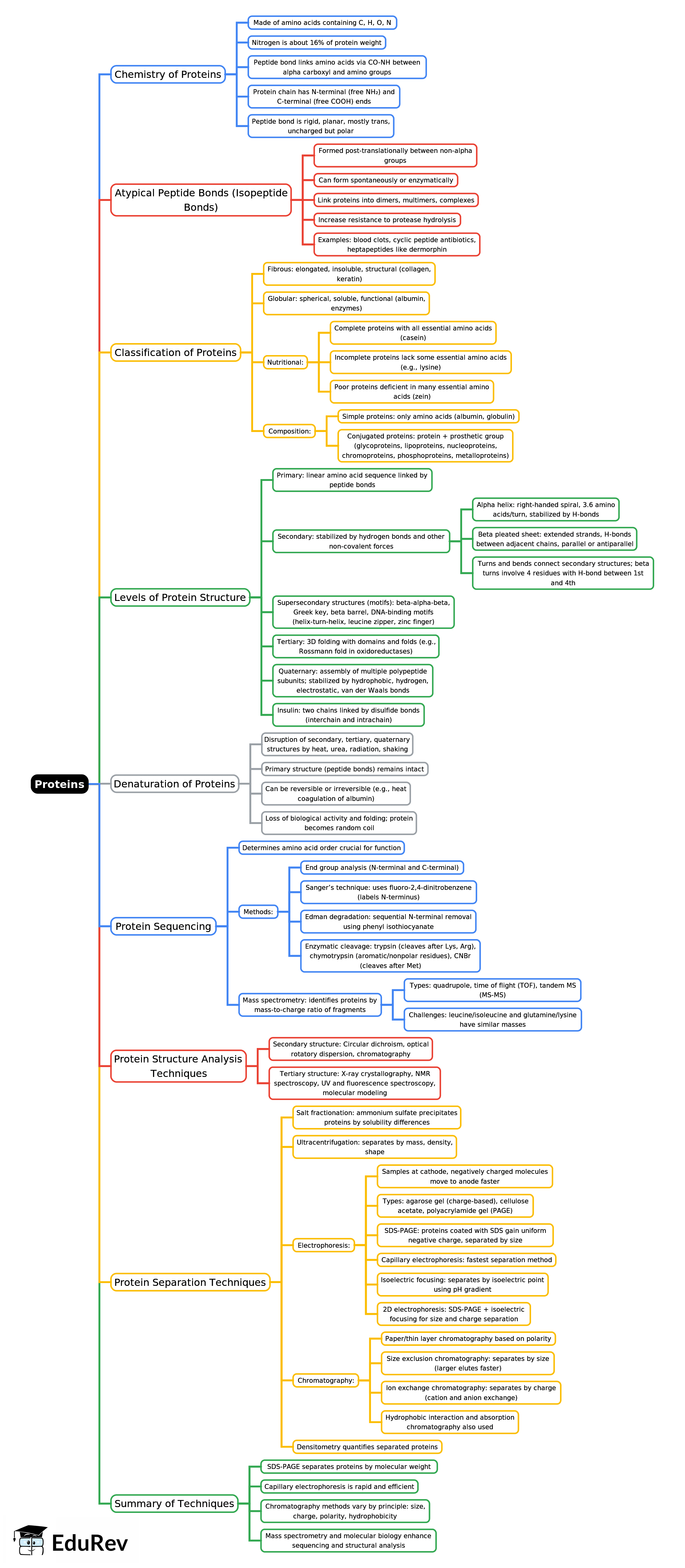 Mind Map: Proteins -1