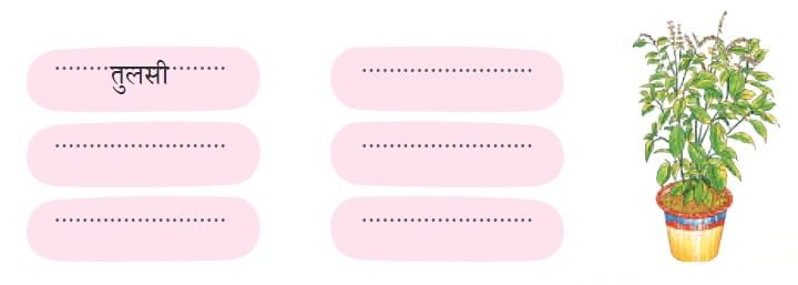 NCERT Solutions for Class 4 Hindi Chapter 3 - नीम