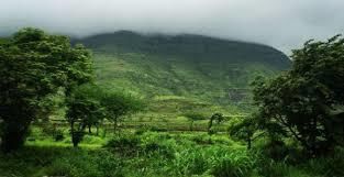 Chhattisgarh: Climate & Soils | Chhattisgarh State PSC (CGPSC) Preparation: All subjects - CGPSC (Chhattisgarh)