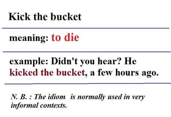 answer Image