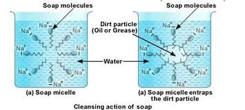 Lakhmir Singh & Manjit Kaur: Carbon And Its Compounds, Solutions- 4 | Science Class 10
