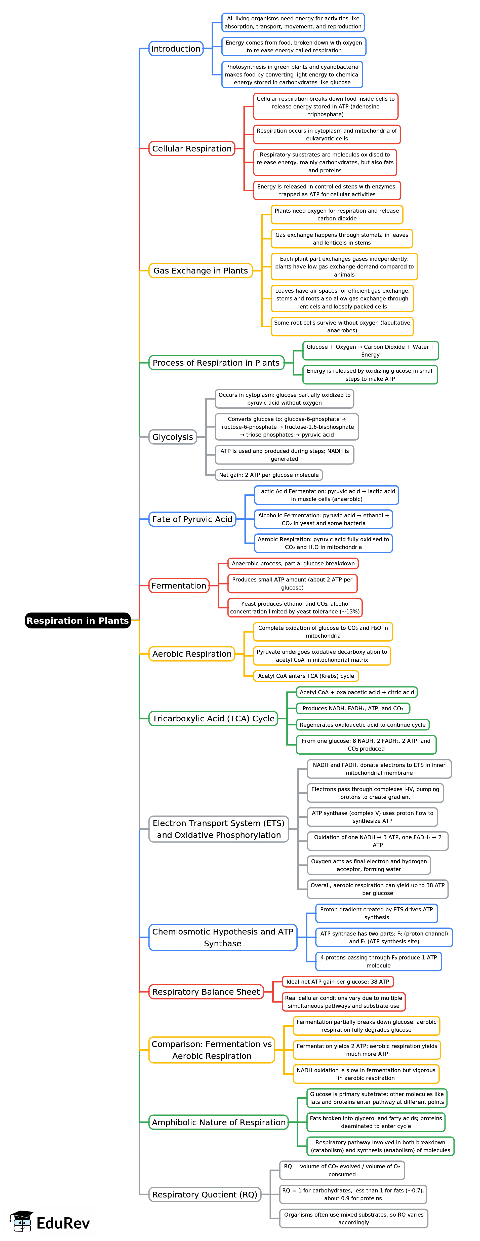 Mind Map: Respiration in Plants | Biology Class 11 - NEET