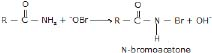 CBSE, Class 12, IIT JEE, Syllabus, Preparation, AIPMT, NCERT, Important, Amines, Compounds containing Nitrogen