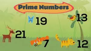 What are prime numbers? | Year 5 Mathematics