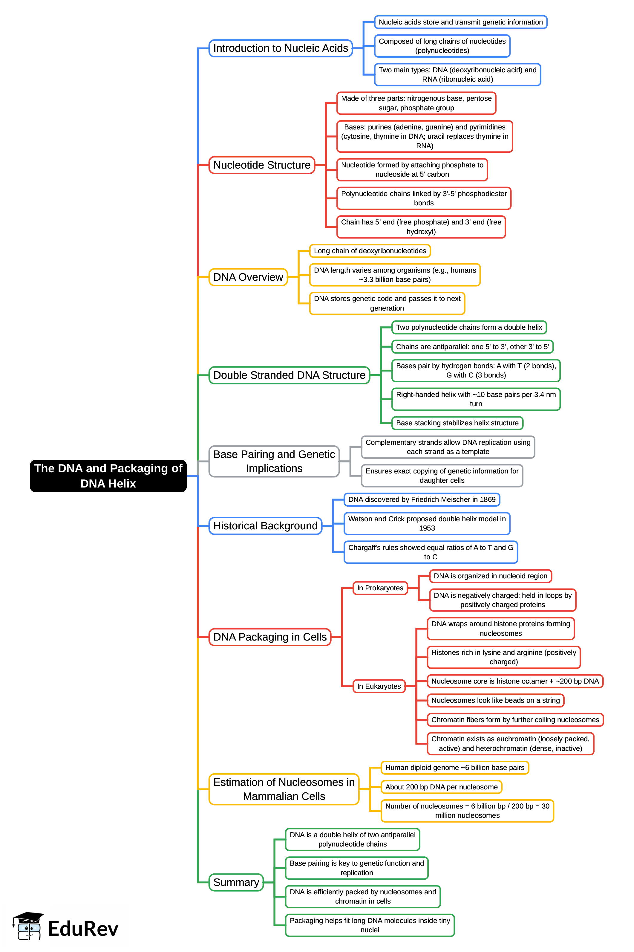 Mind Map: The DNA & Packaging of DNA Helix | MCAT Biological and Biochemical Foundations