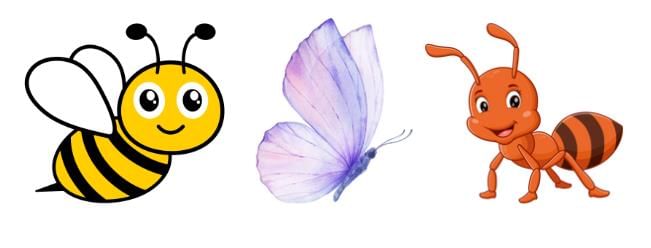 Short Answer Questions: Animals | EVS for Class 2