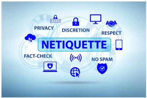 Internet Services Chapter Notes | Information Technology (IT) for Primary 5