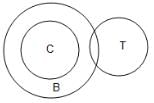 Syllogism Questions for CAT with Answers PDF