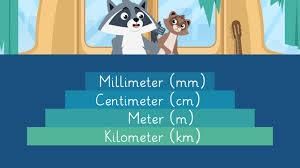 What are metric measurements? | Year 3 Mathematics