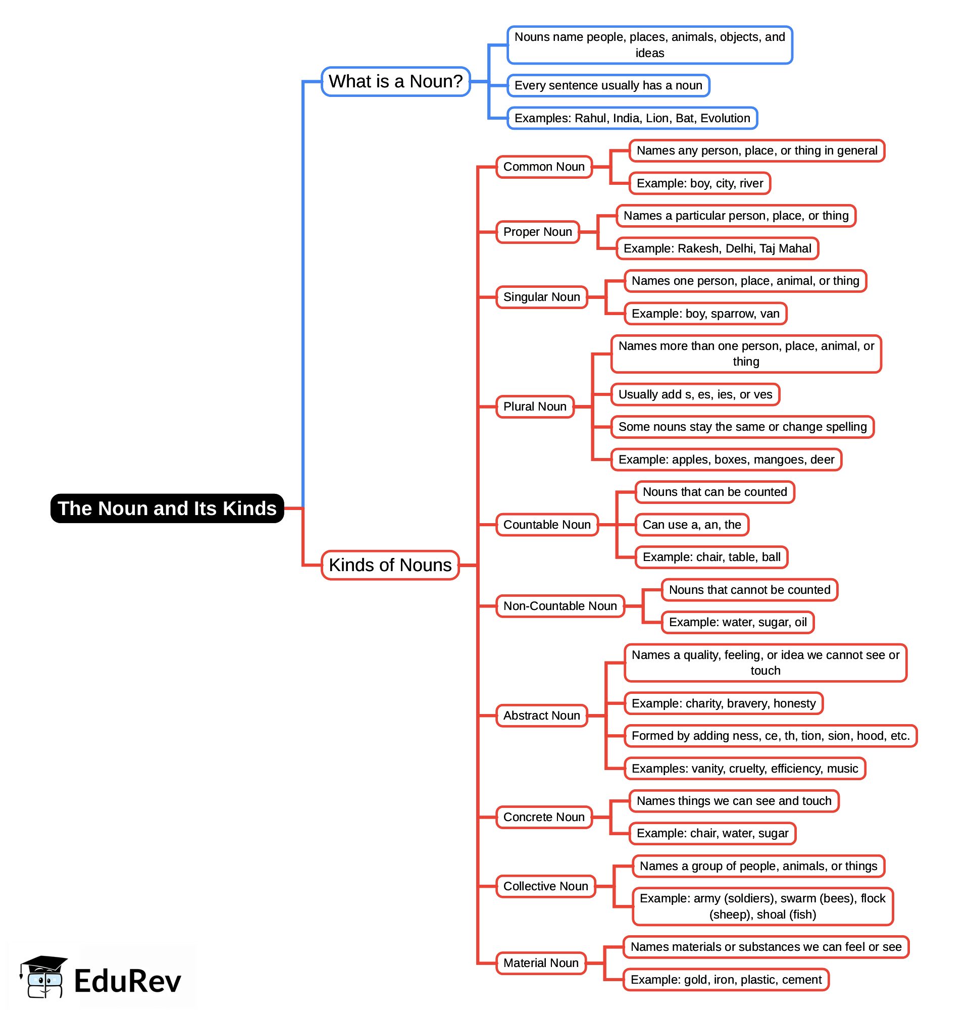 Mind Map: The Noun & Its Kinds | English Grammar Class 4