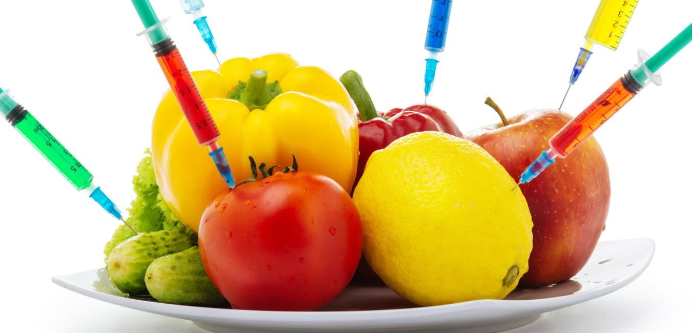 Food and Health Chapter Notes | Science Class 5 ICSE