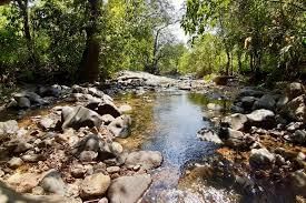 Goa: Vegetation | Goa State PSC (GPSC) Preparation - GPSC (Goa)