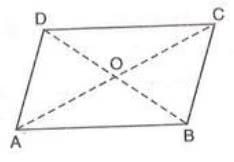 Chapter notes: Special Types of Quadrilaterals | Mathematics Class 8 ICSE