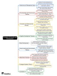 Mind Map: Theories of Human Development - Crash Course for UGC NET Home ...