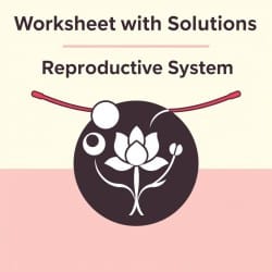 The Reproductive System Worksheet - Class 10 Biology ICSE PDF Download