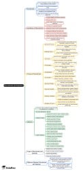 Recruitment and Selection Mind Map - UGC NET Crash Course Management PDF