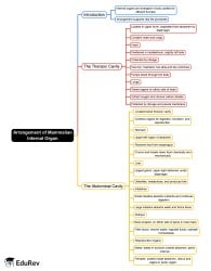 Arrangement of Mammalian Internal Organ Mind Map - JAMB PDF Download