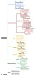 Greedy Technique Mind Map - UGC NET PDF Download