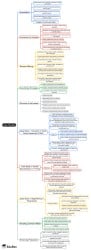 Case Studies Mind Map - UPSC PDF Download