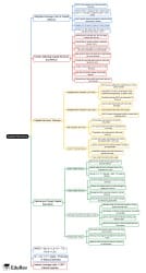 Capital Structure Mind Map - CFA Level 1 Corporate Issuers PDF Download