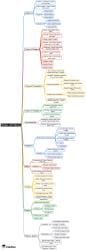 Mind Map: Shapes and Patterns - Mathematics for Class 5 PDF Download