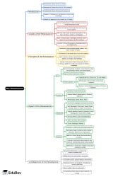 The Renaissance Mind Map - Class 9 PDF Download