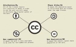 Creative Commons Licences - Year 7 PDF Download