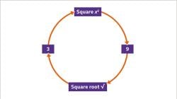 Roots - Year 7 PDF Download