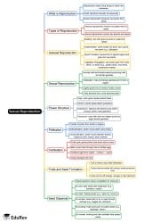 Sexual reproduction Mind Map - Grade 7 PDF Download
