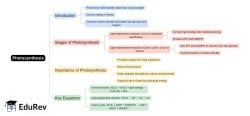 Mind Map - PDF Download
