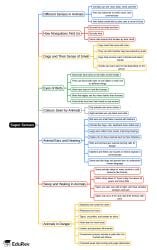 Super Senses Mind Map - Class 5 PDF Download