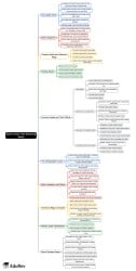 Spells Used in the Wizarding World Mind Map - Class 1 PDF Download