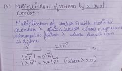 Multiplication of Vectors by a real numbers - Class 11 PDF Download