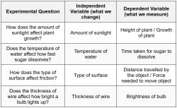 Dependent Variable - PSLE Science PDF Download