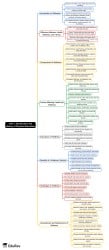 Mind Map: Wellness - Physical Education for UGC NET PDF Download