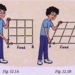 NCERT Example Based Questions Quadrilaterals - Maths Class 9 - New NCERT