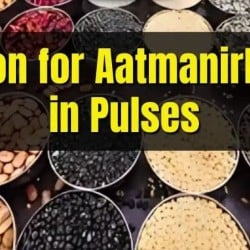 11-10-2026 PIB Summary - UPSC PDF Download